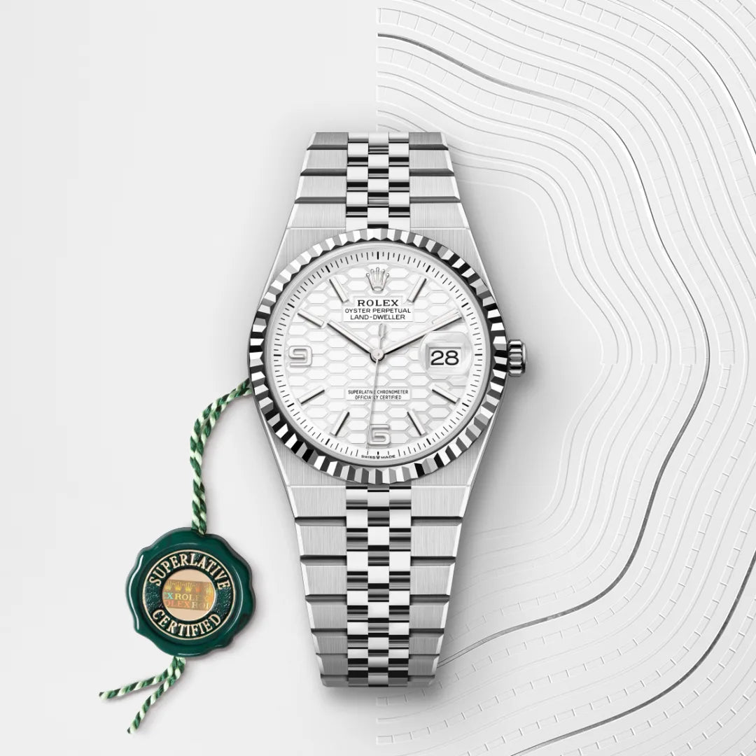 Rolex Land-Dweller 36