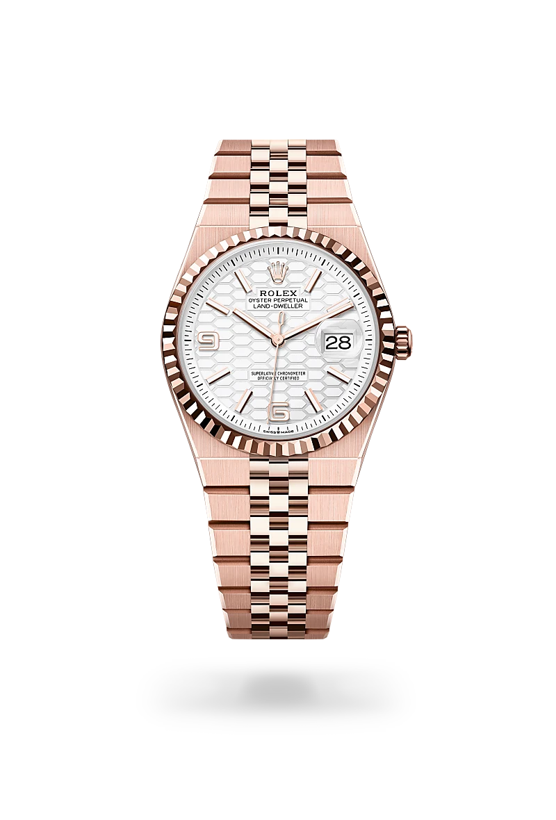 Rolex Land-Dweller 36 in Oyster, 36 mm, Everose gold