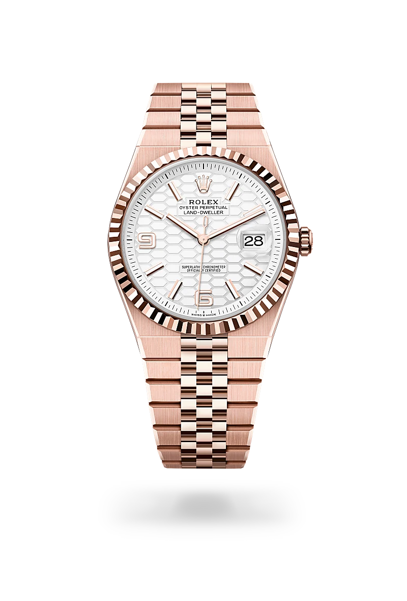 Rolex Land-Dweller 40 in Oyster, 40 mm, Everose gold