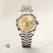 Sky-Dweller - image 2 of 4