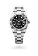 Sky-Dweller - image 2 of 4