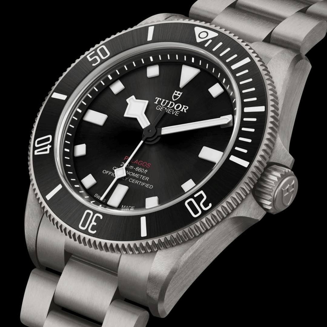 TUDOR Titanium Pelagos 39mm #M25407N-0001