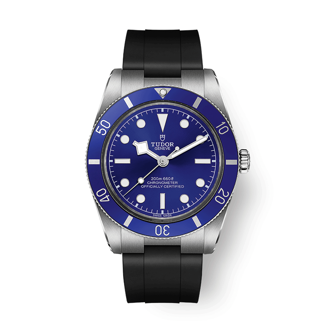 TUDOR Black Bay 54 #M79000B-0002
