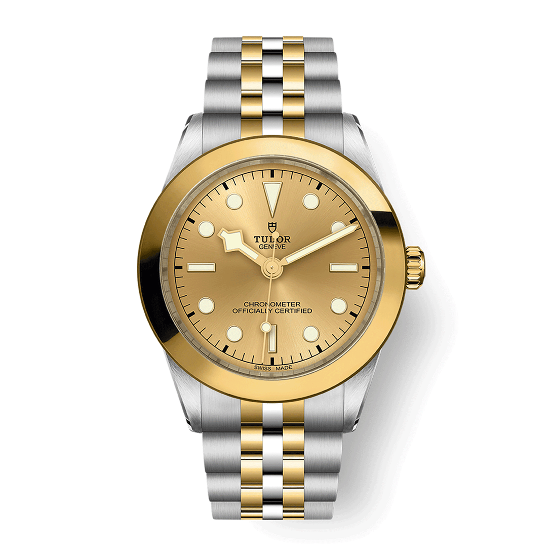 TUDOR Black Bay 39 S&G 39mm #M79663-0005