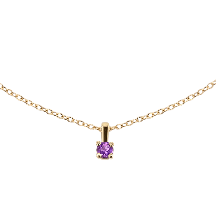 14k Yellow Gold and Amethyst Birthstone Pendant