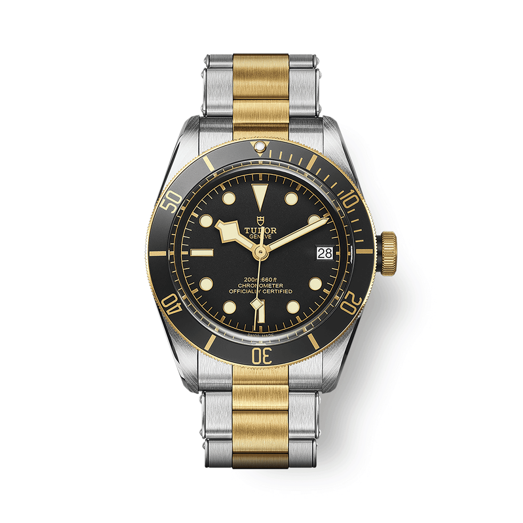 TUDOR Black Bay S&G 41mm #M79733N-0008