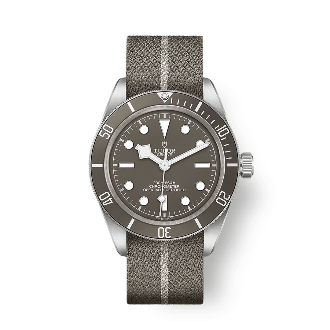 TUDOR Black Bay 58 39mm #M79010SG-0002