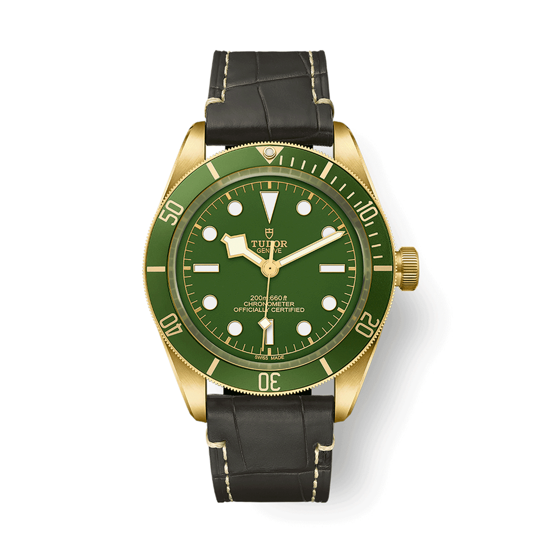 TUDOR Black Bay 58 39mm #M79018V-0001