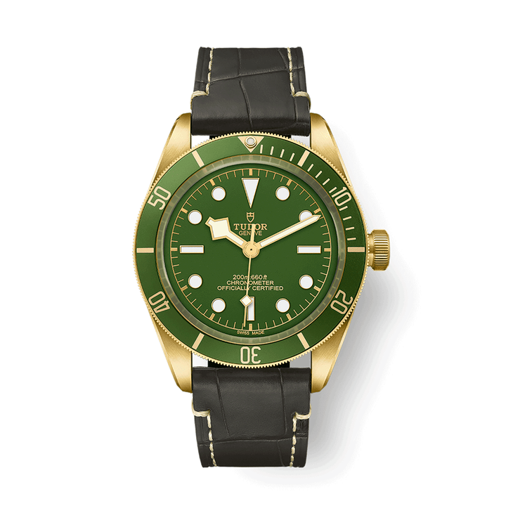 TUDOR Black Bay 58 39mm #M79018V-0001