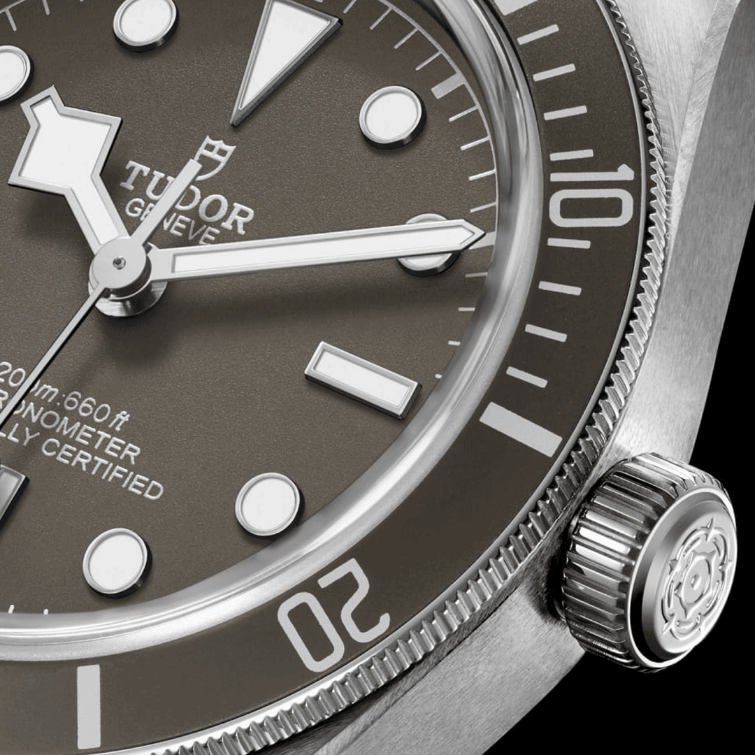 TUDOR Black Bay 58 39mm #M79010SG-0002