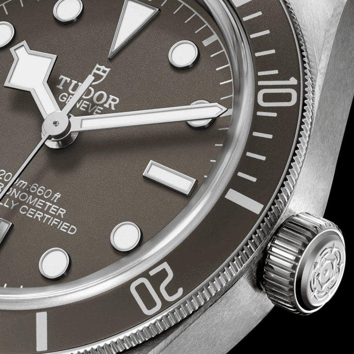 TUDOR Black Bay 58 39mm #M79010SG-0002