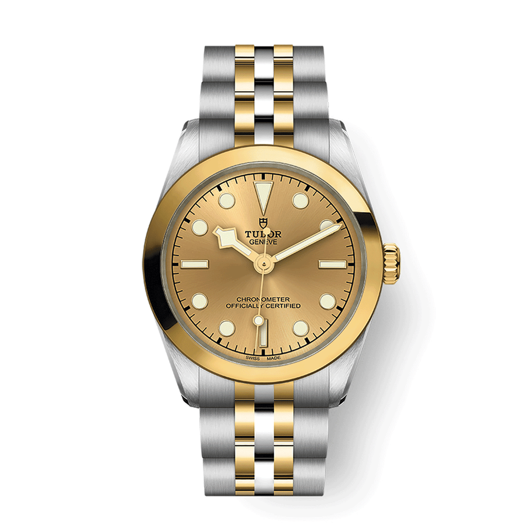 TUDOR Black Bay 31 S&G 31mm #M79603-0005