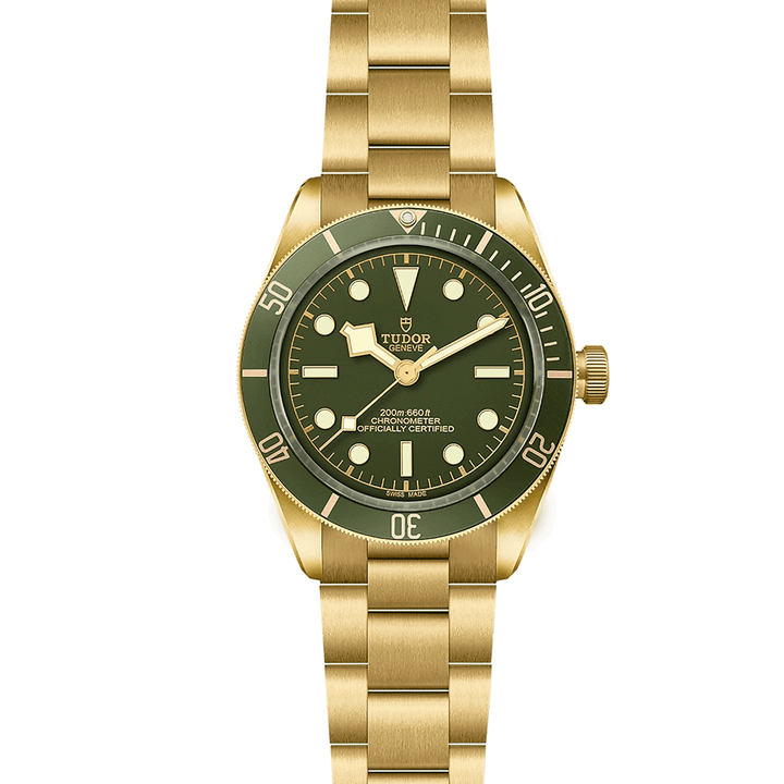 TUDOR Black Bay 58 18k 39mm #M79018V-0006