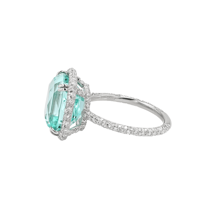 Platinum Blue Tourmaline 7.84 Total Weight and Diamond Ring