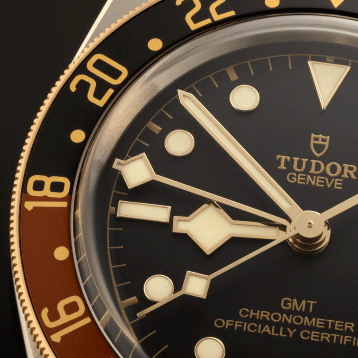 TUDOR Black Bay S&G 41mm #M79833MN-0003