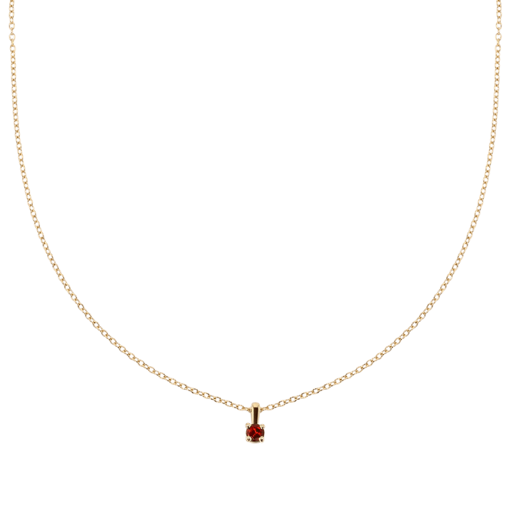 14k Yellow Gold and Garnet Birthstone Pendant