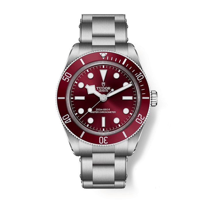 TUDOR Black Bay 58 39mm #M7939A1A0RU-0002