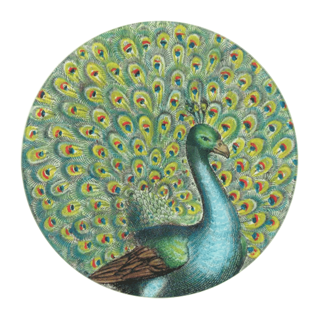 John Derian Peacock Portrait Round Plate