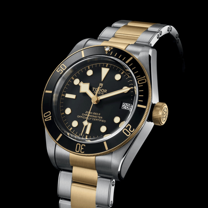 TUDOR Black Bay S&G 41mm #M79733N-0008