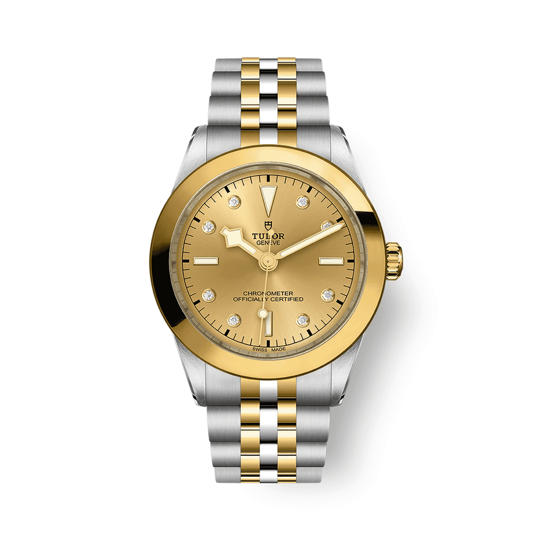 TUDOR Black Bay 39 S&G 39mm #M79663-0008