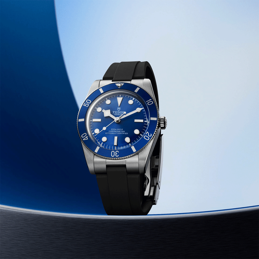 TUDOR Black Bay 54 #M79000B-0002