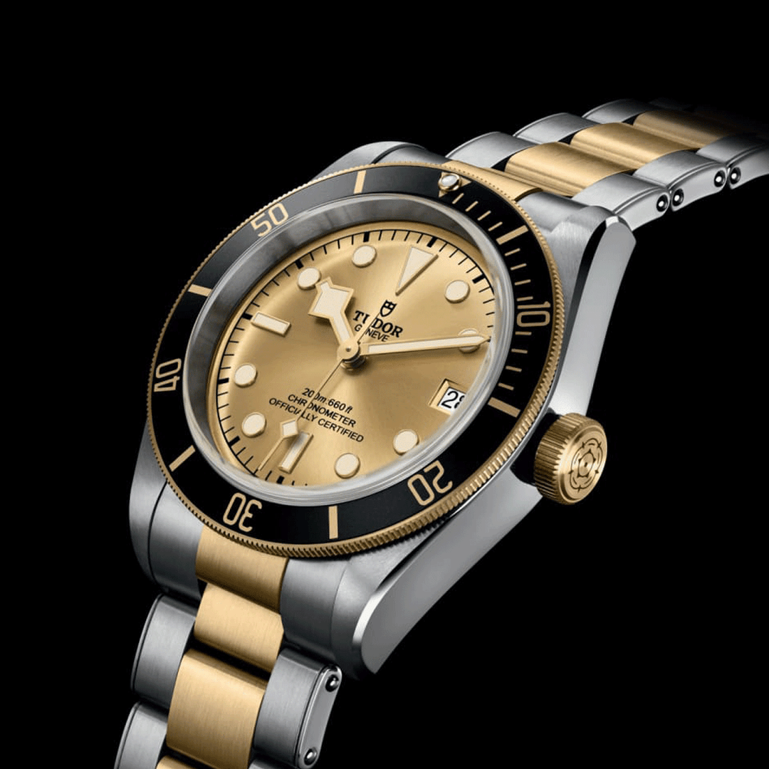 TUDOR Black Bay S&G 41mm #M79733N-0004