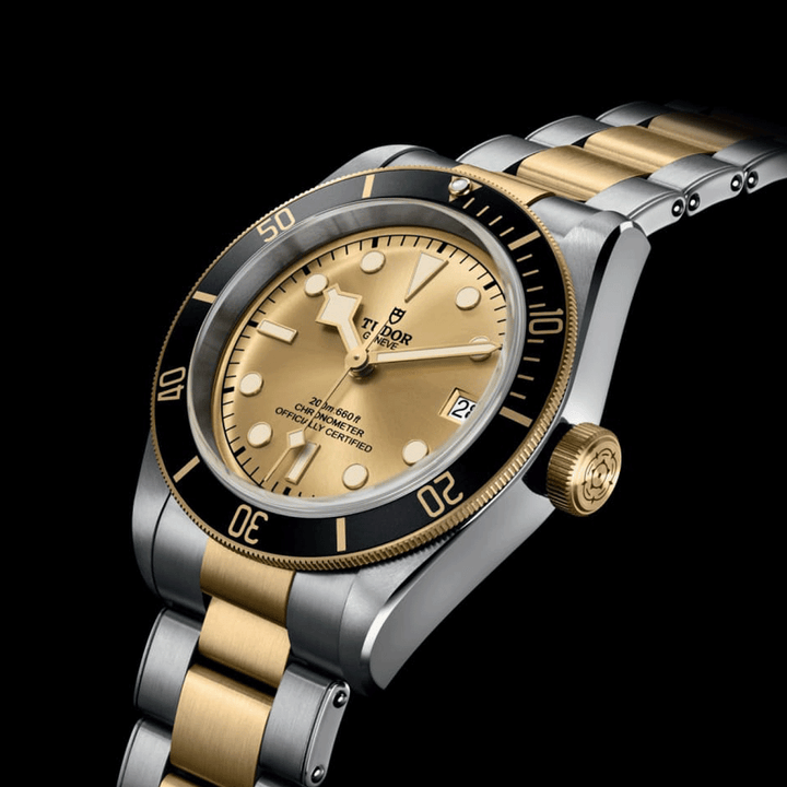 TUDOR Black Bay S&G 41mm #M79733N-0004