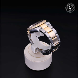 Datejust 36 M126233-016