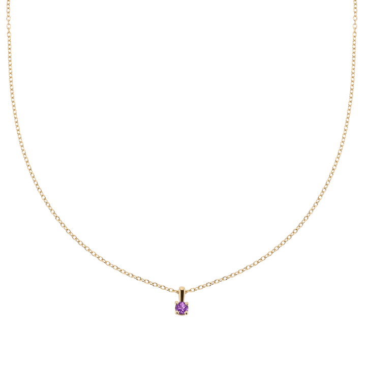 14k Yellow Gold and Amethyst Birthstone Pendant