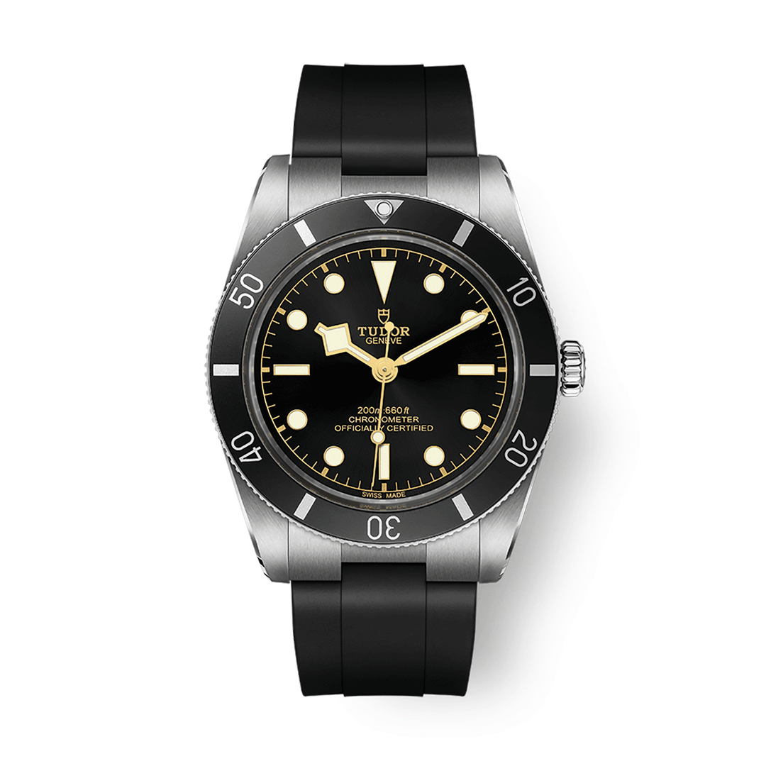 TUDOR Black Bay 54 #M79000N-0002