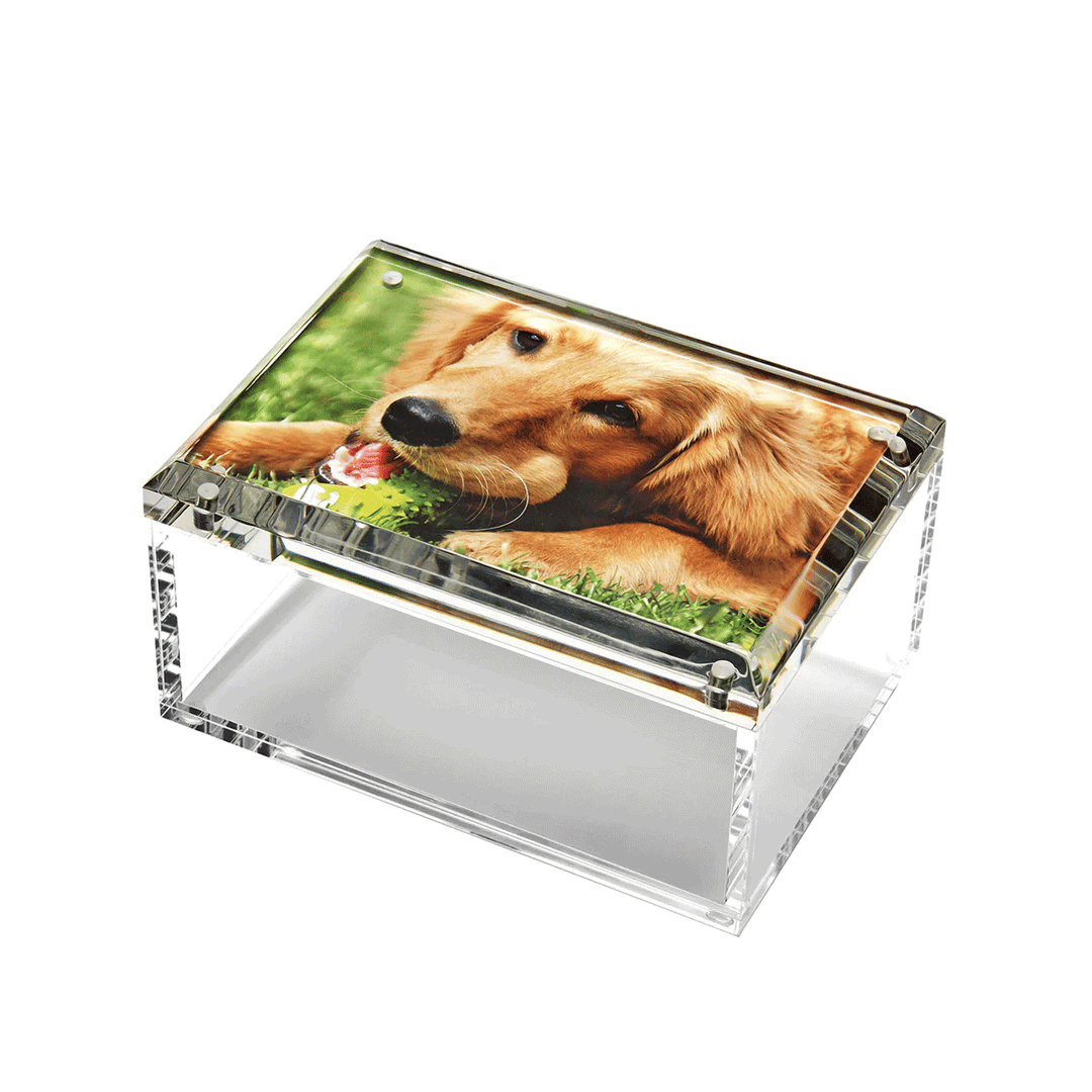Medium Photo Box Clear 5 x 7