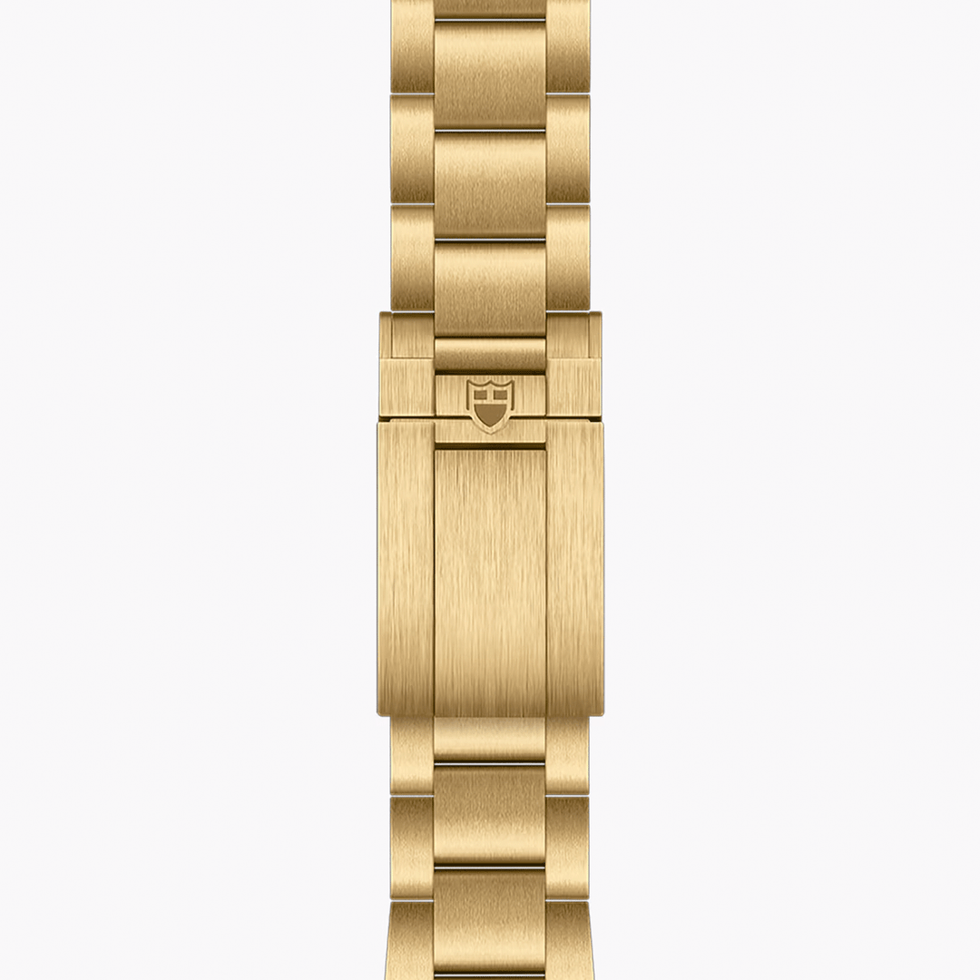 TUDOR Black Bay 58 18k 39mm #M79018V-0006