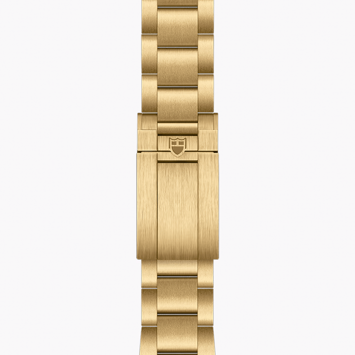 TUDOR Black Bay 58 18k 39mm #M79018V-0006