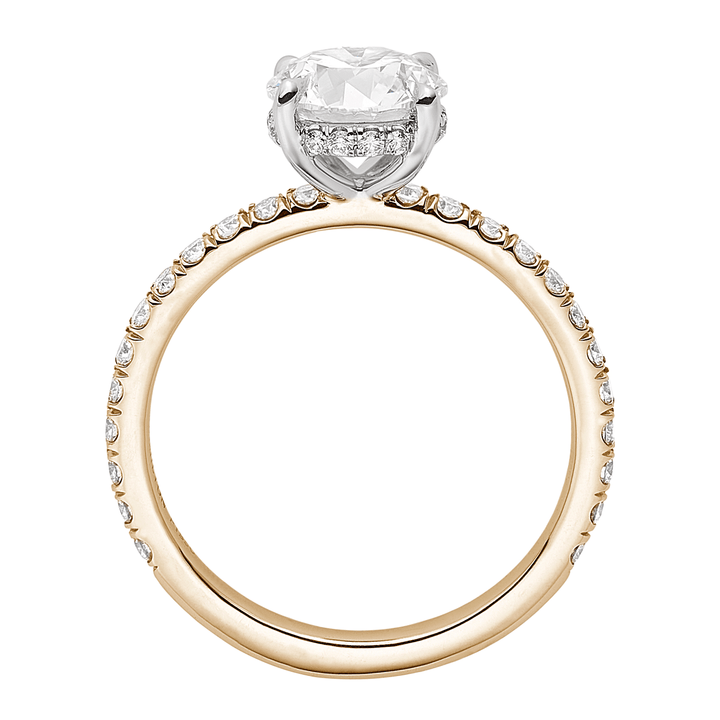 Hamilton Silhouette 18k Yellow Gold and Platinum Hidden Halo Ring Setting