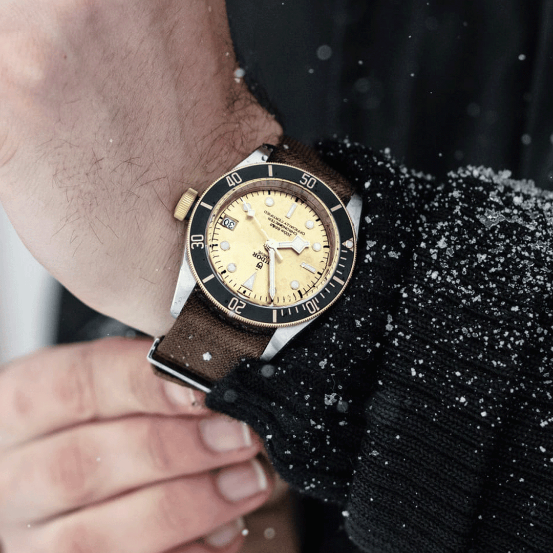 TUDOR Black Bay 41mm #M79733N-0006