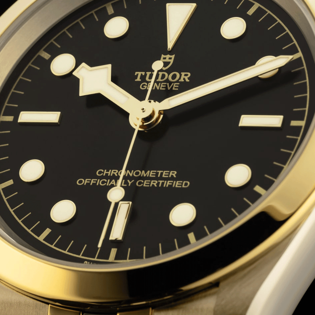 TUDOR Black Bay 41 S&G 41mm #M79683-0001