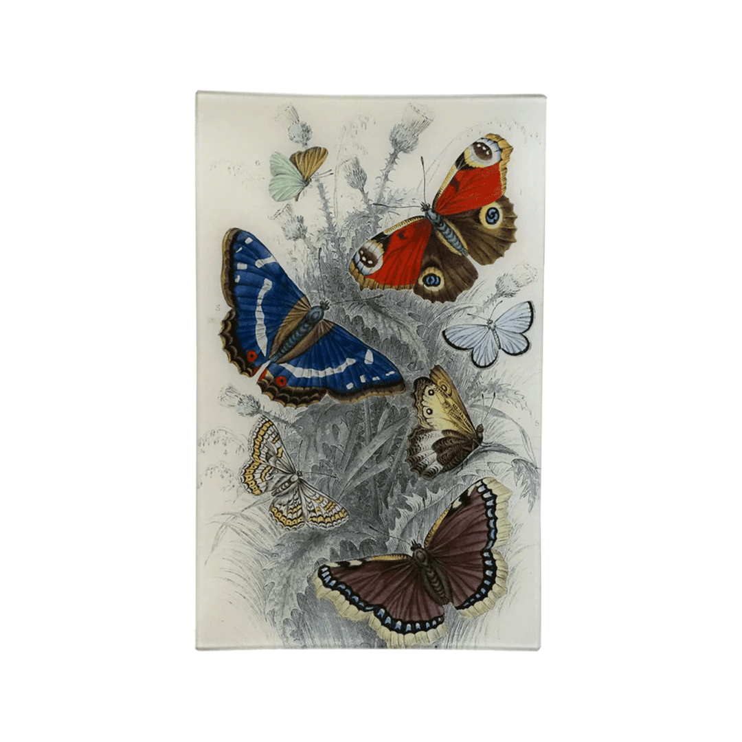 John Derian Dancing Butterflies Tray