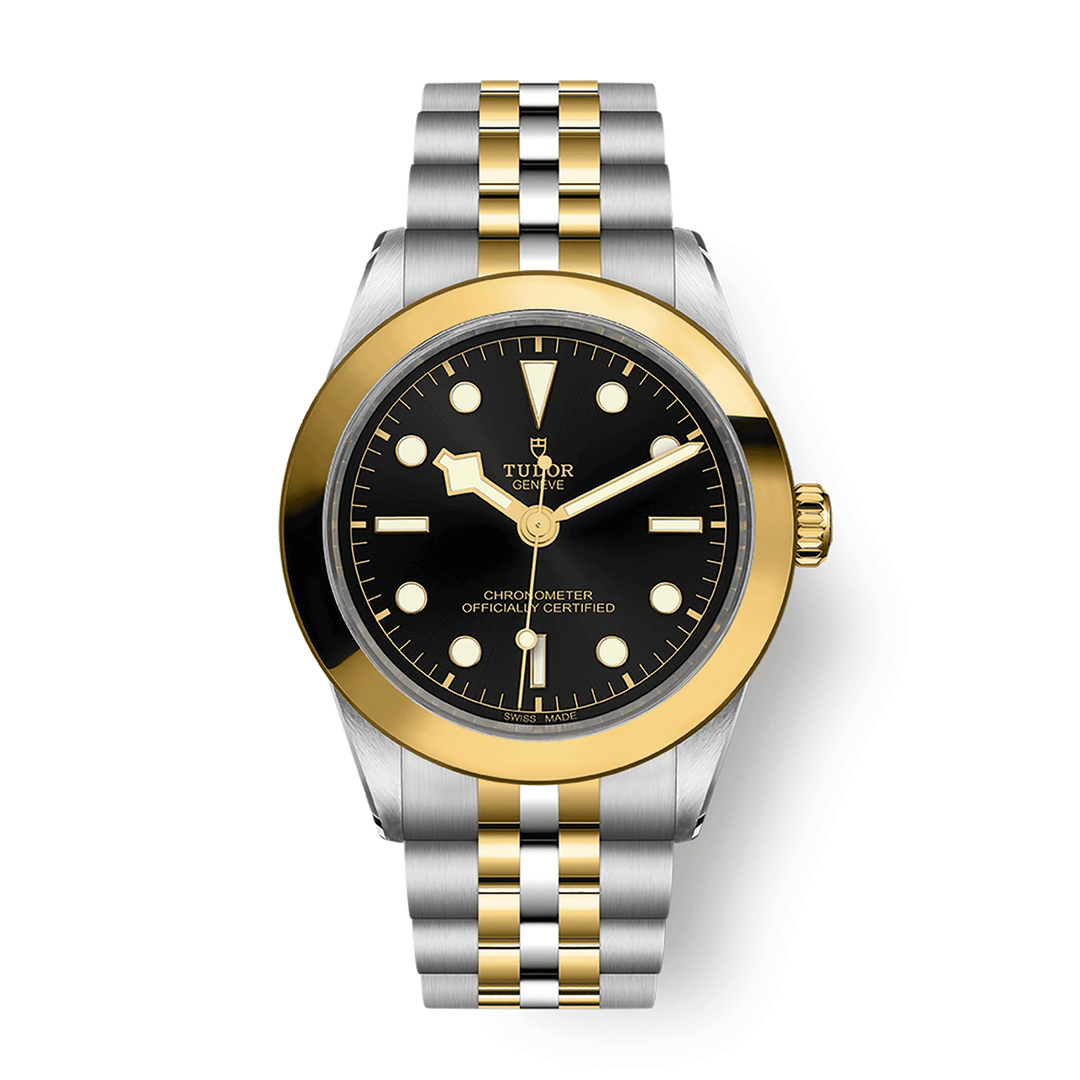 TUDOR Black Bay 39 S&G 39mm #M79663-0001