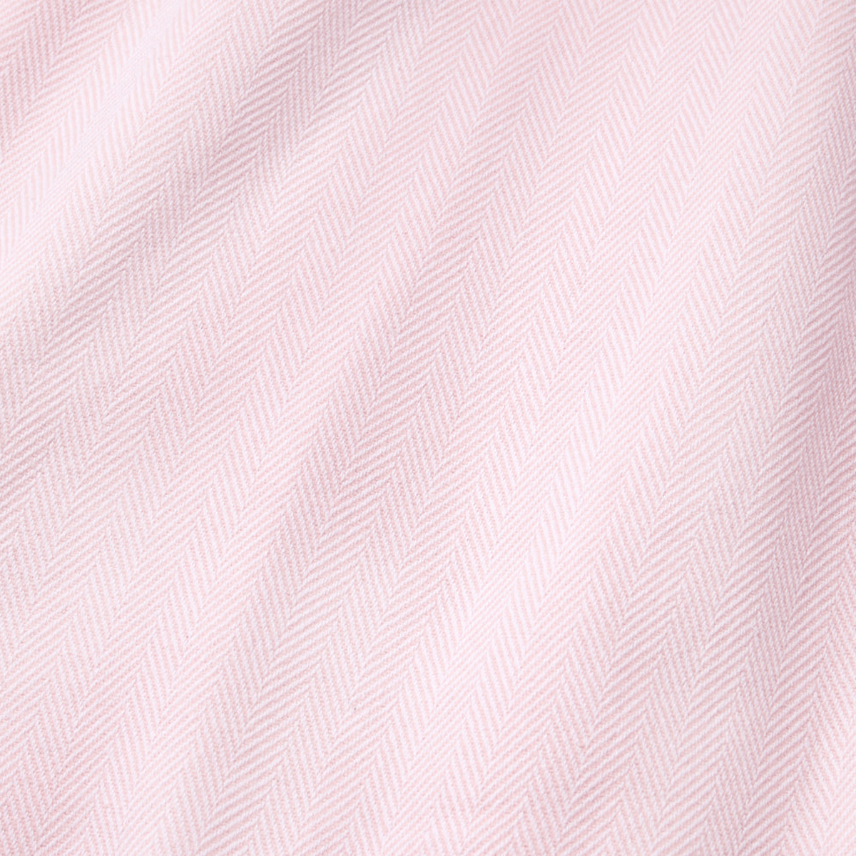 Sferra Celine White Carnation Throw