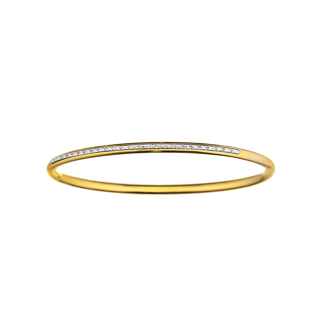 Steel and Yellow Gold Plated Diamond Bangle