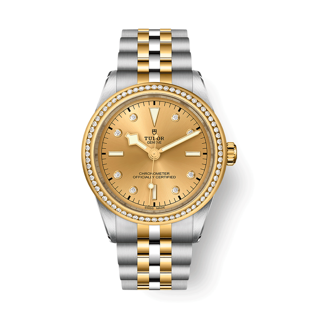 TUDOR Black Bay 39 S&G 39mm #M79673-0007