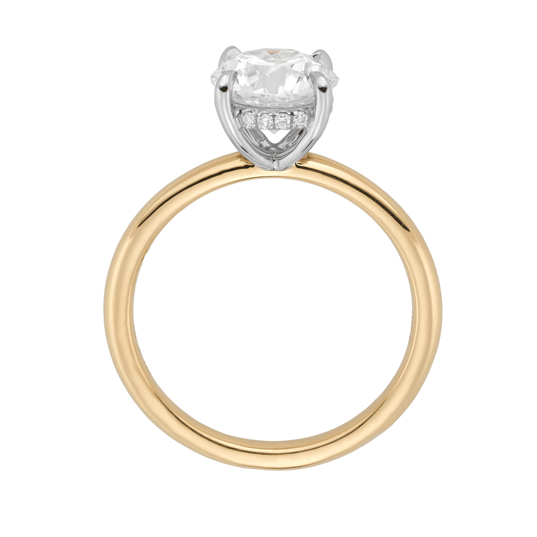 Hamilton Silhouette Collection Platinum 18k Yellow Gold and Diamond Mounting Ring