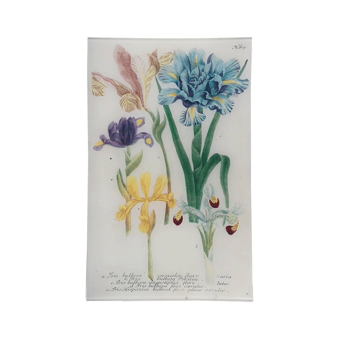 John Derian N.609 Spanish Iris Tray