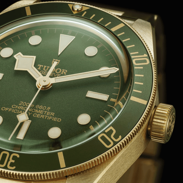 TUDOR Black Bay 58 18k 39mm #M79018V-0006