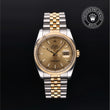 Datejust 36 M116233-0075