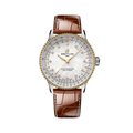 Breitling Navitimer Automatic 36 #D173271A1A1P1