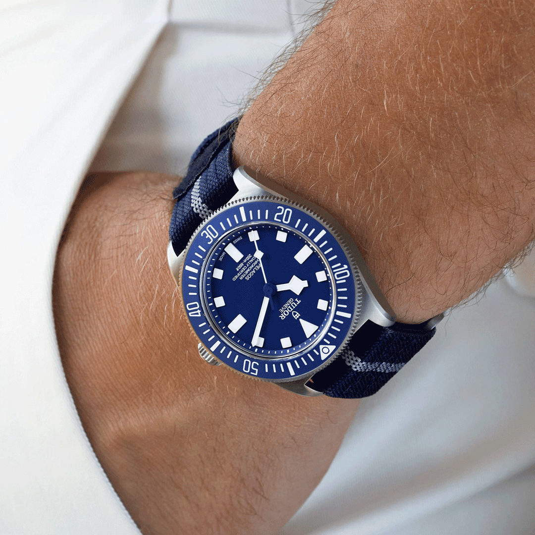 TUDOR Pelagos FXD42 #M2570B/25-0001
