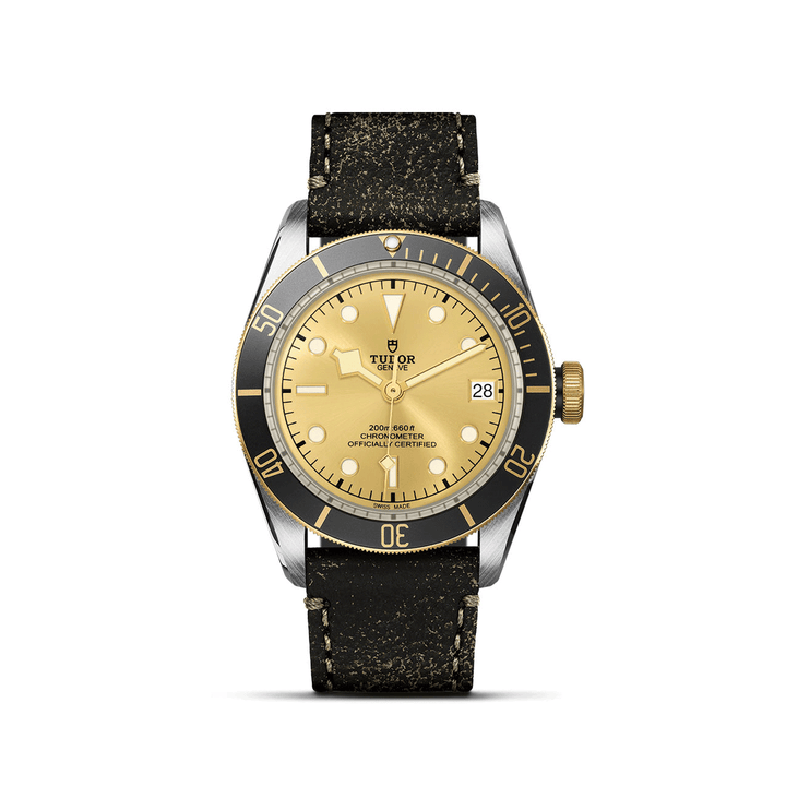 TUDOR Black Bay S&G 41mm #M79733N-0003