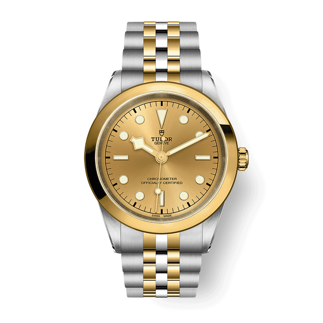 TUDOR Black Bay 41 S&G 41mm #M79683-0005