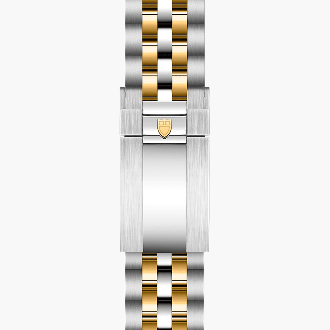 TUDOR Black Bay 39 S&G 39mm #M79663-0001